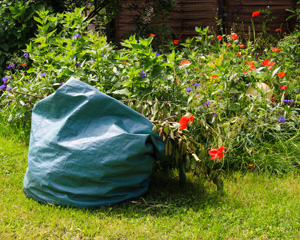 garden clearance waste bag green overflowing with garden shrubs and red flowers